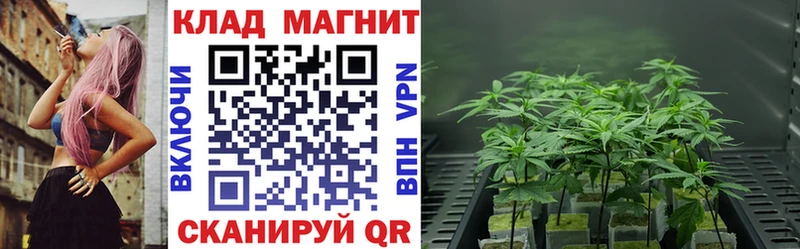 Альфа ПВП Пласт