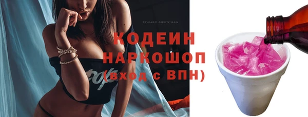круглые Пересвет