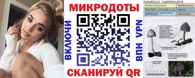 Галлюциногенные грибы Psilocybe  Пласт 